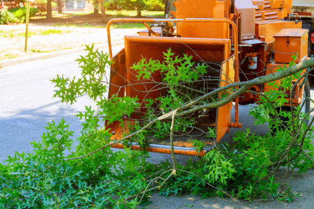  Desert Aire, WA Tree Service Pros